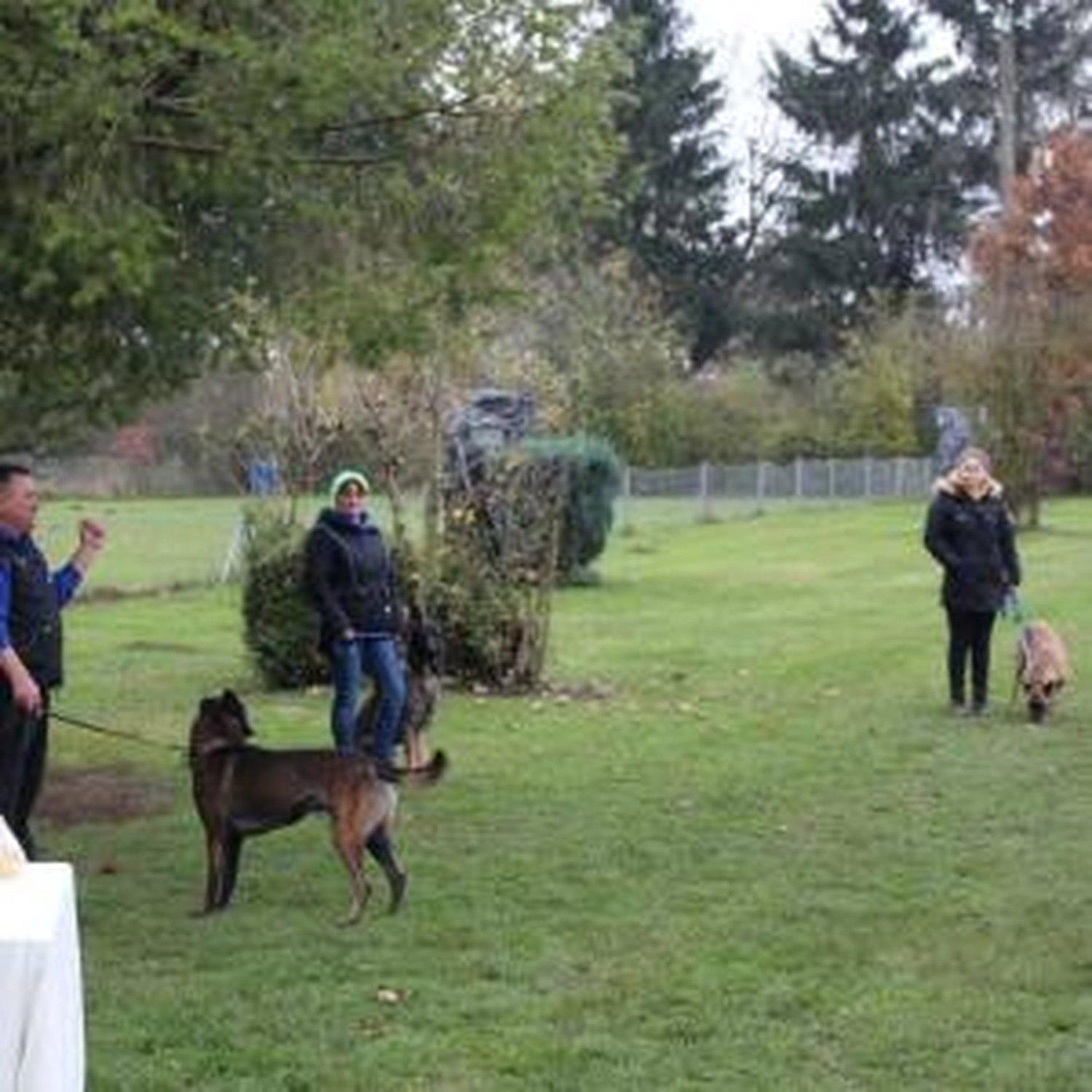 HSV Mühldorf - Hundesportverein -HSV 2019 - Herbstprüfung