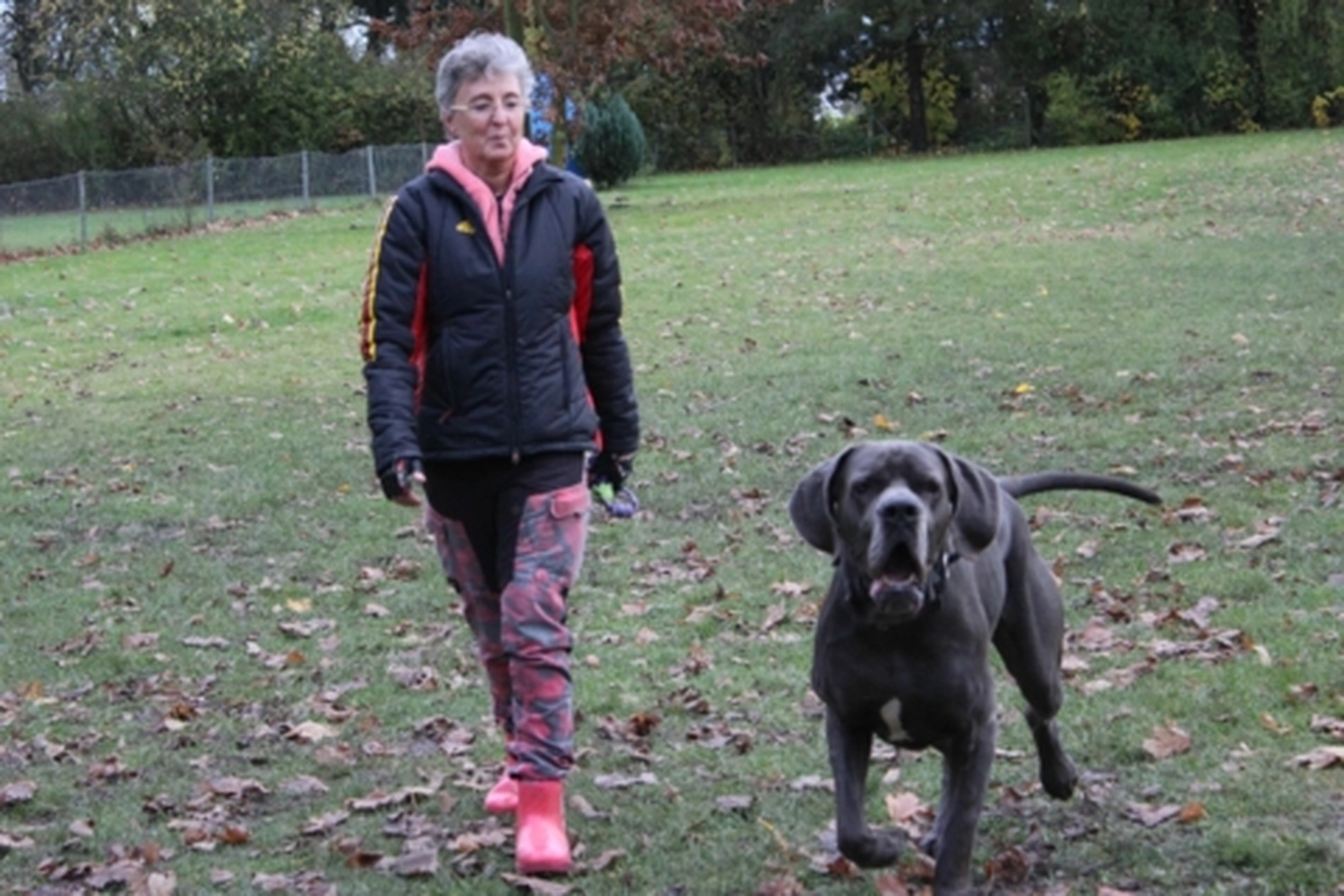 HSV Mühldorf – Hundesportverein – Menschen mit Hund