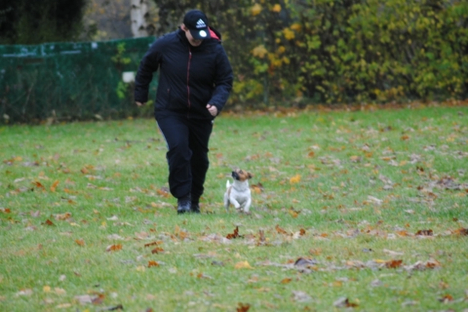 HSV Mühldorf – Hundesportverein – Menschen mit Hund