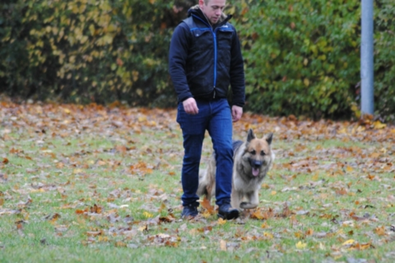 HSV Mühldorf – Hundesportverein – Menschen mit Hund
