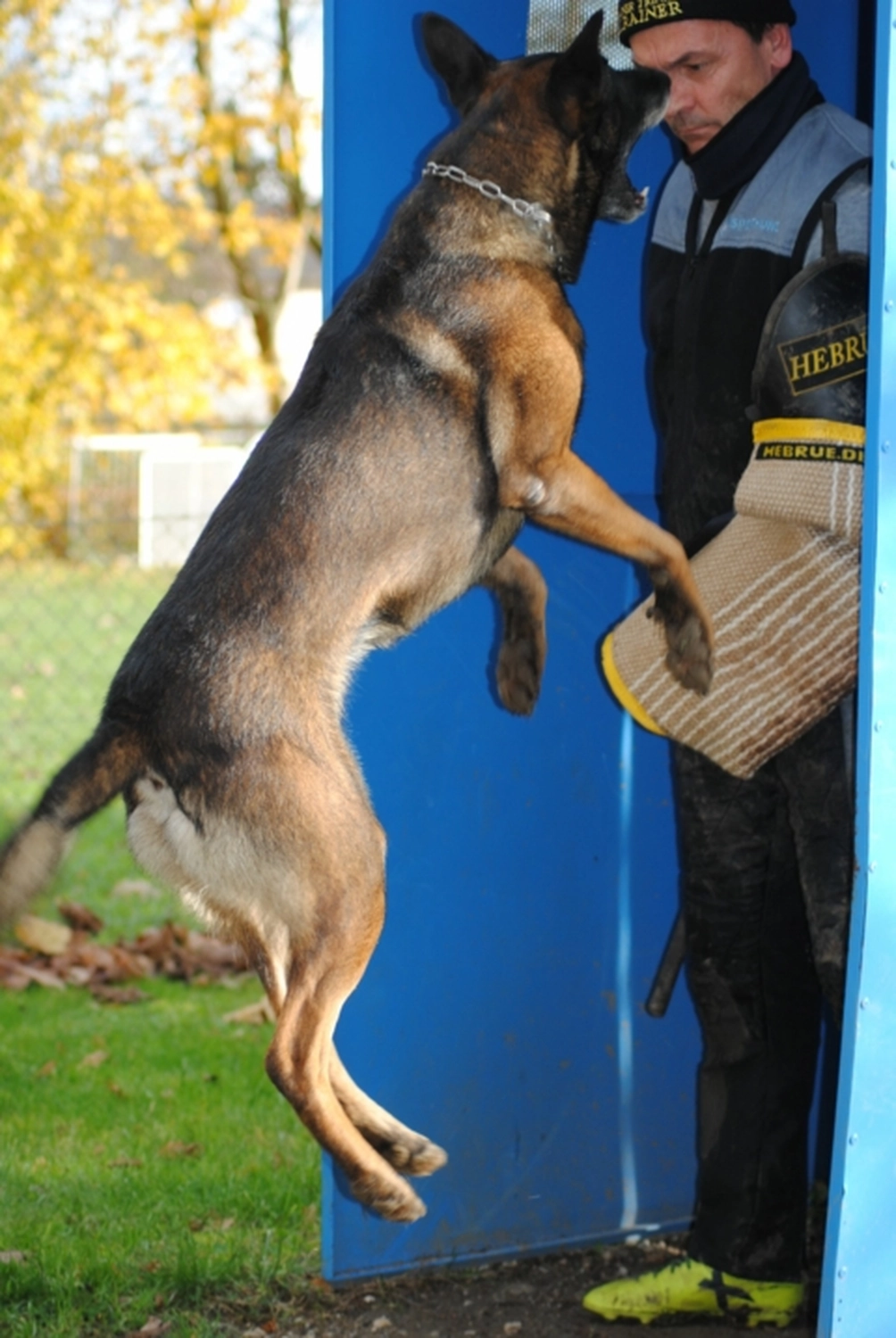 HSV Mühldorf – Hundesportverein – Menschen mit Hund