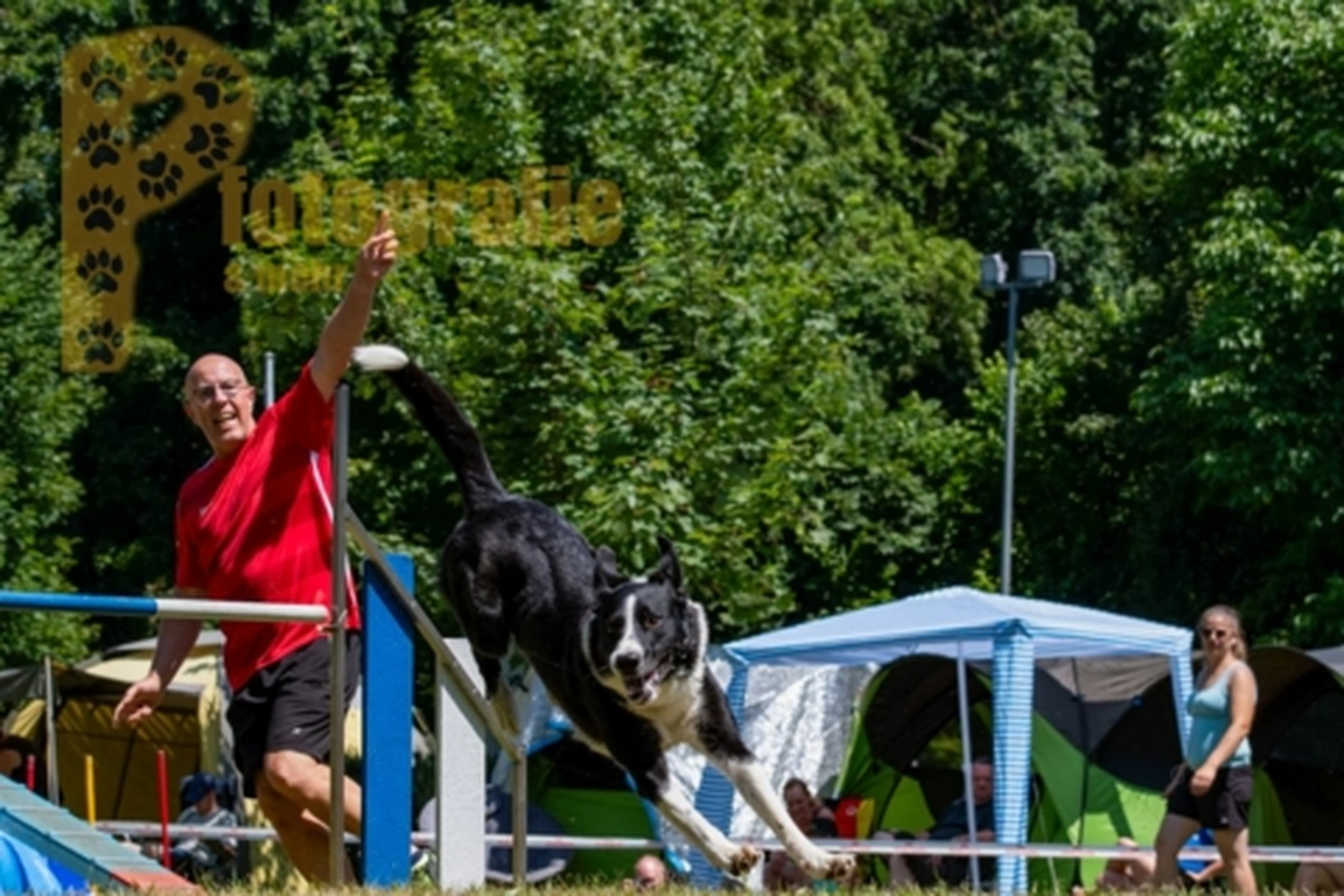 HSV Mühldorf - Hundesportverein - Hunde im Agility Turnier 2023