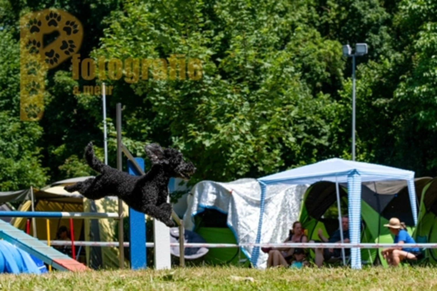 HSV Mühldorf - Hundesportverein - Hunde im Agility Turnier 2023