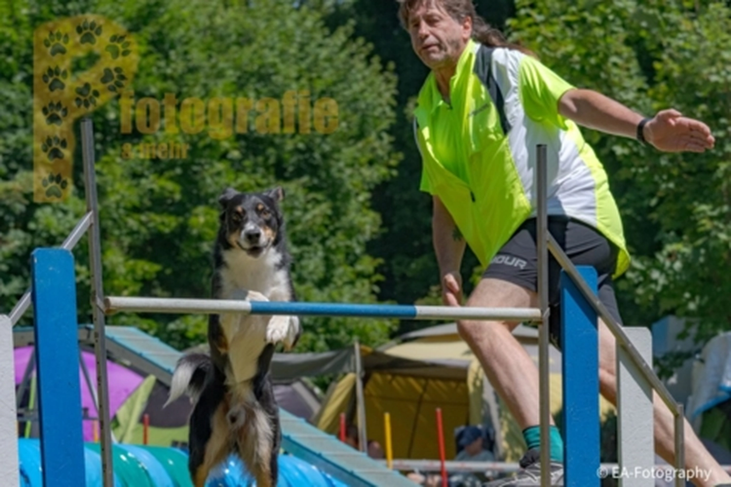 HSV Mühldorf - Hundesportverein - Hunde im Agility Turnier 2023