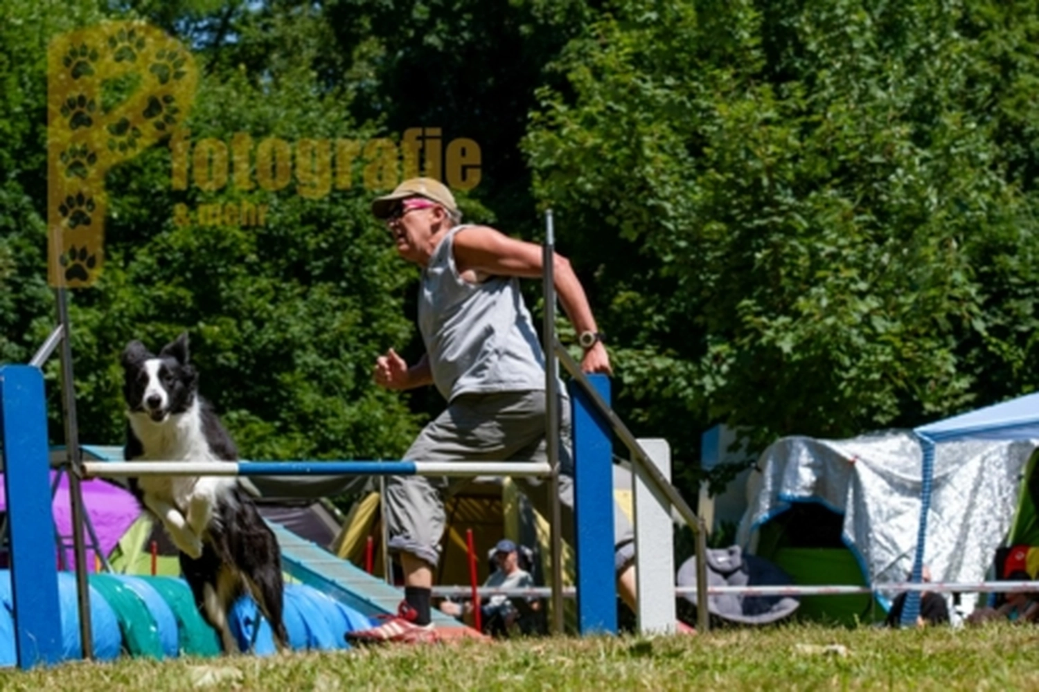 HSV Mühldorf - Hundesportverein - Hunde im Agility Turnier 2023