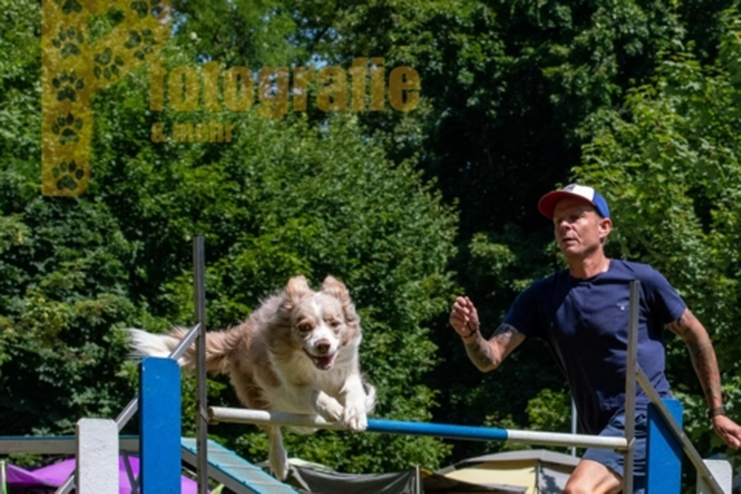 HSV Mühldorf - Hundesportverein - Hunde im Agility Turnier 2023