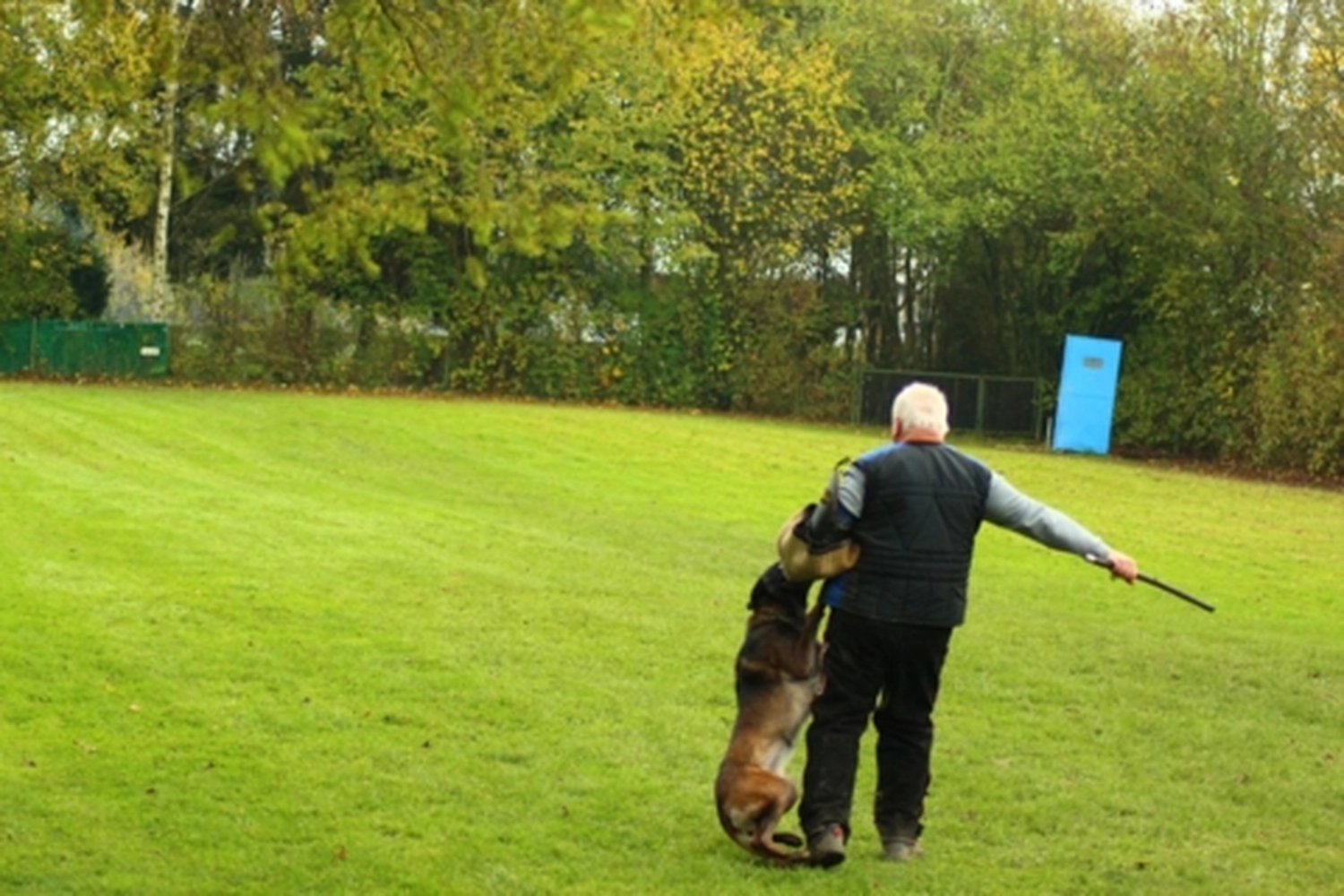 HSV Mühldorf - Hundesportverein - Hund bei Herbstmeisterschaften