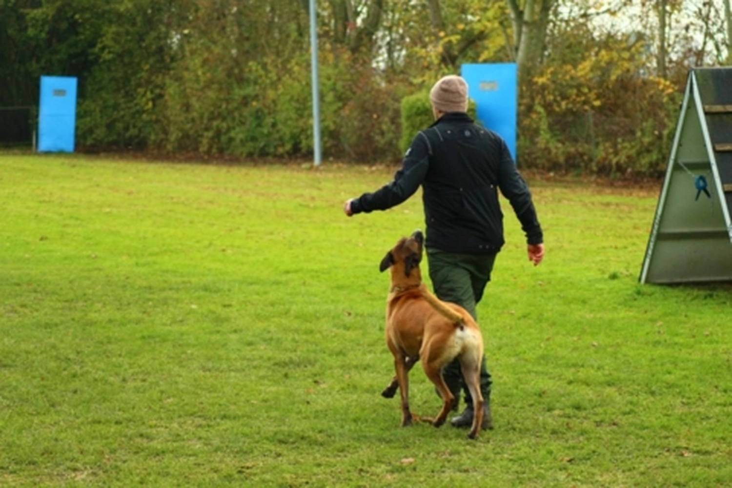 HSV Mühldorf - Hundesportverein - Hund bei Herbstmeisterschaften