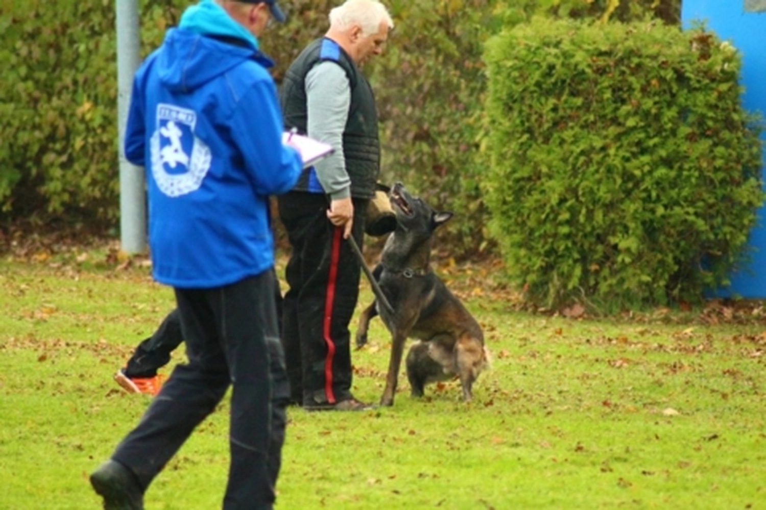 HSV Mühldorf - Hundesportverein - Hund bei Herbstmeisterschaften