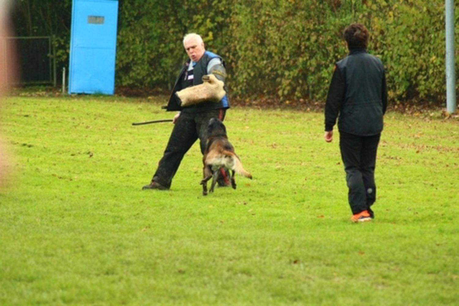 HSV Mühldorf - Hundesportverein - Hund bei Herbstmeisterschaften