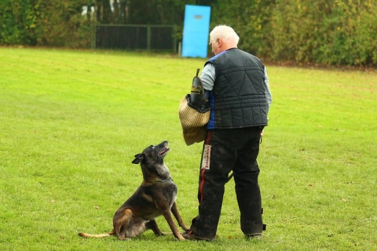 HSV Mühldorf - Hundesportverein - Hund bei Herbstmeisterschaften
