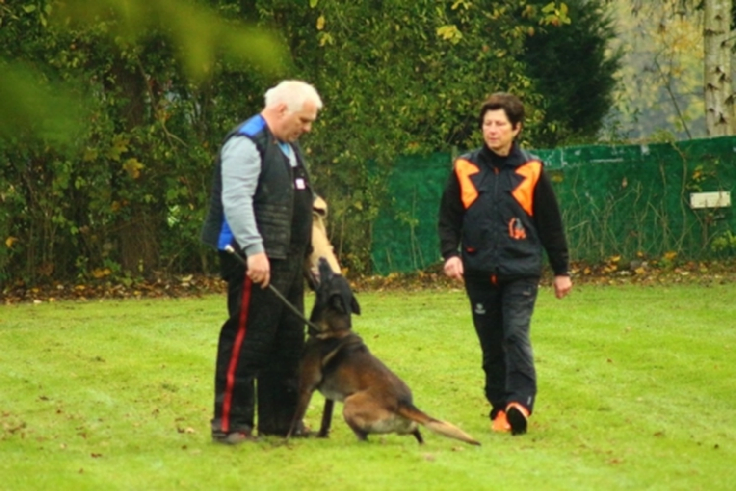 HSV Mühldorf - Hundesportverein - Hund bei Herbstmeisterschaften