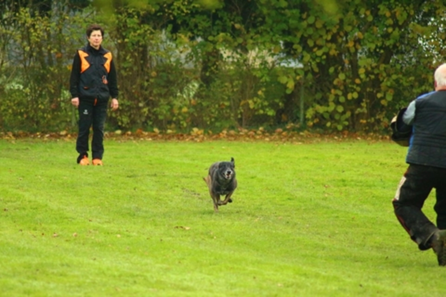 HSV Mühldorf - Hundesportverein - Hund bei Herbstmeisterschaften