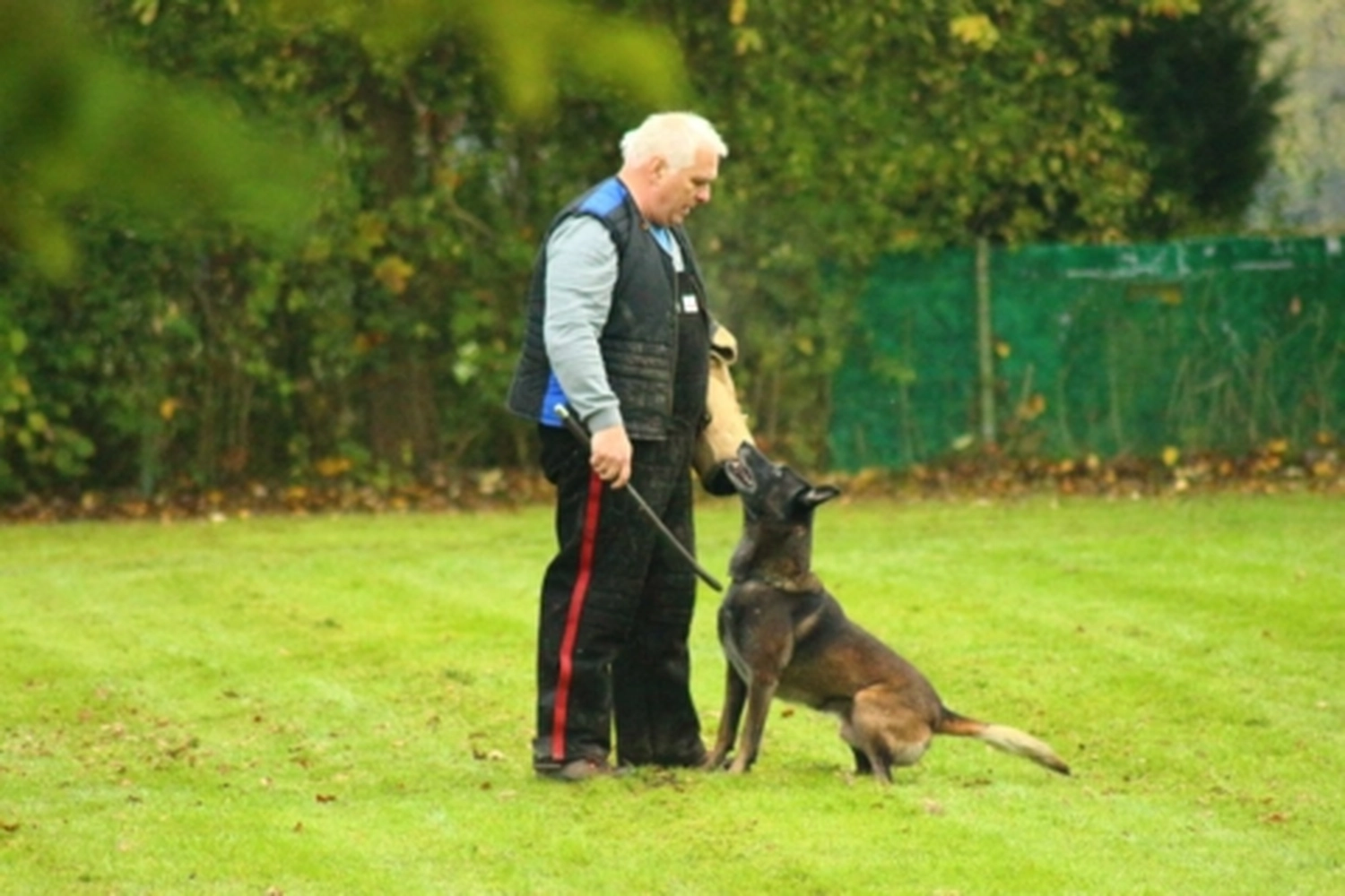 HSV Mühldorf - Hundesportverein - Hund bei Herbstmeisterschaften