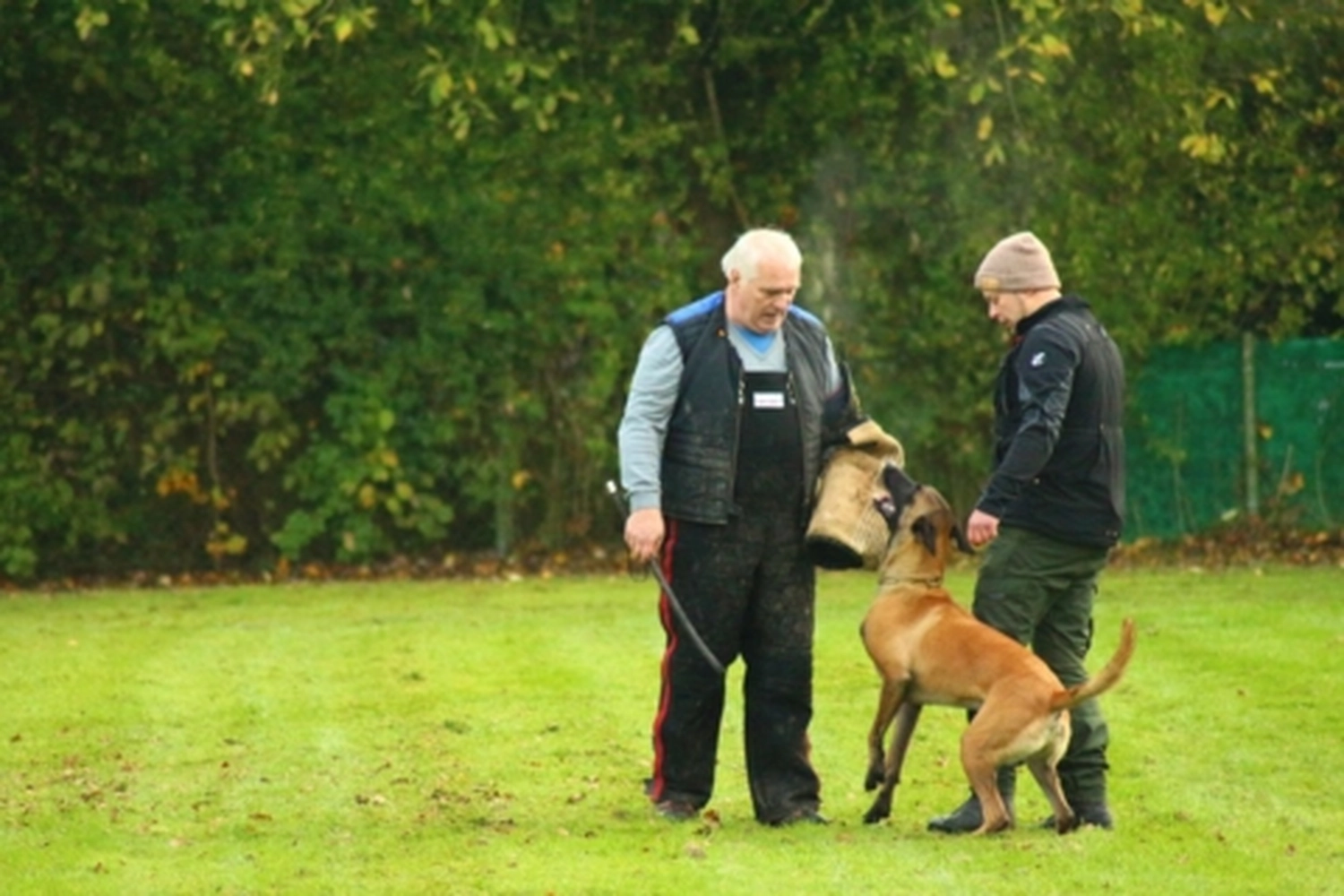 HSV Mühldorf - Hundesportverein - Hund bei Herbstmeisterschaften