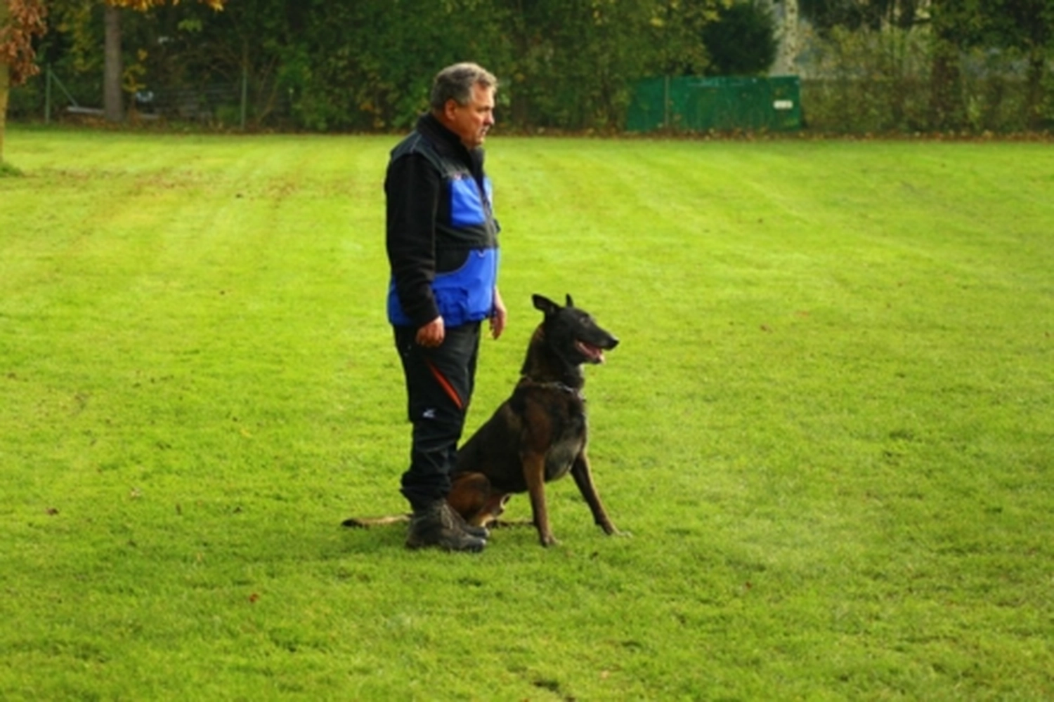 HSV Mühldorf - Hundesportverein - Hund bei Herbstmeisterschaften