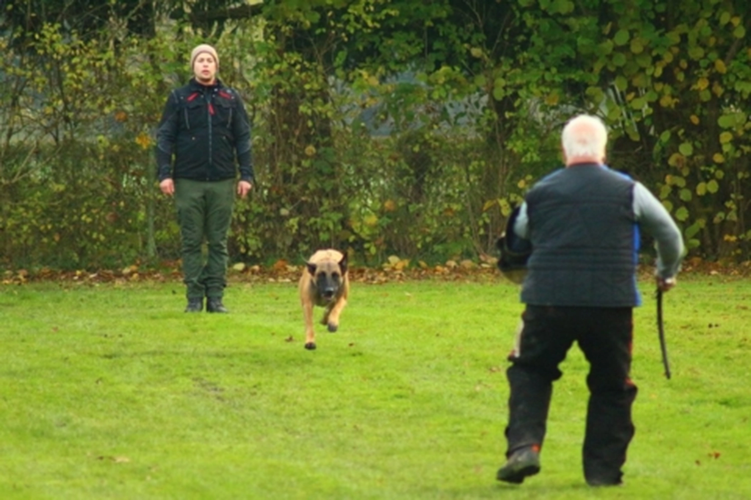 HSV Mühldorf - Hundesportverein - Hund bei Herbstmeisterschaften