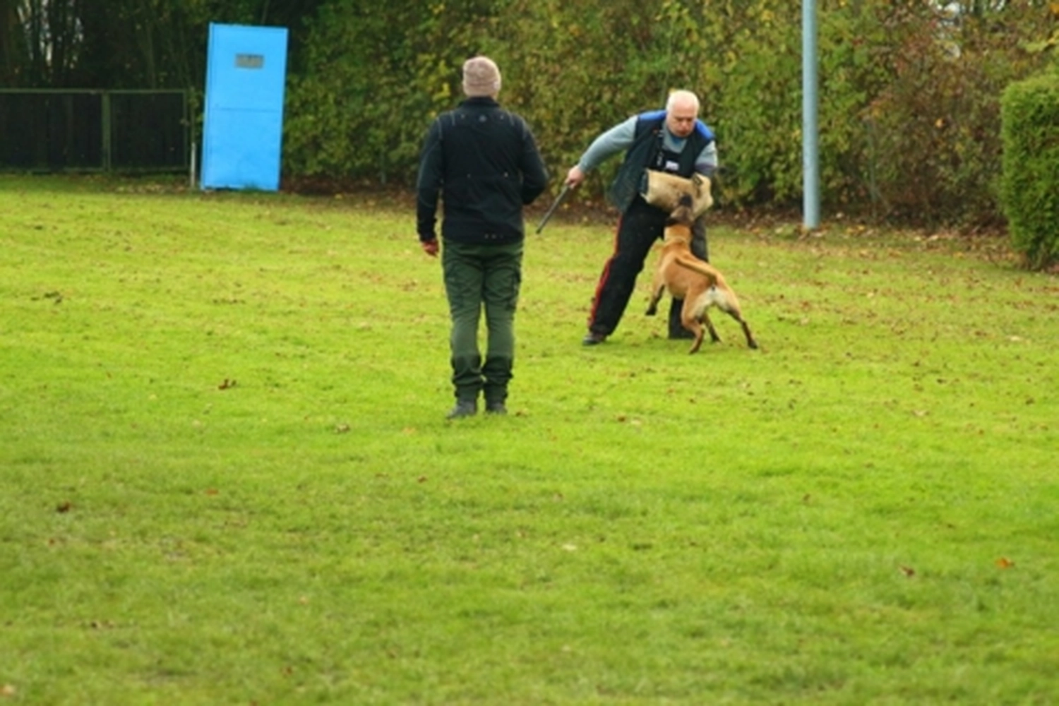 HSV Mühldorf - Hundesportverein - Hund bei Herbstmeisterschaften