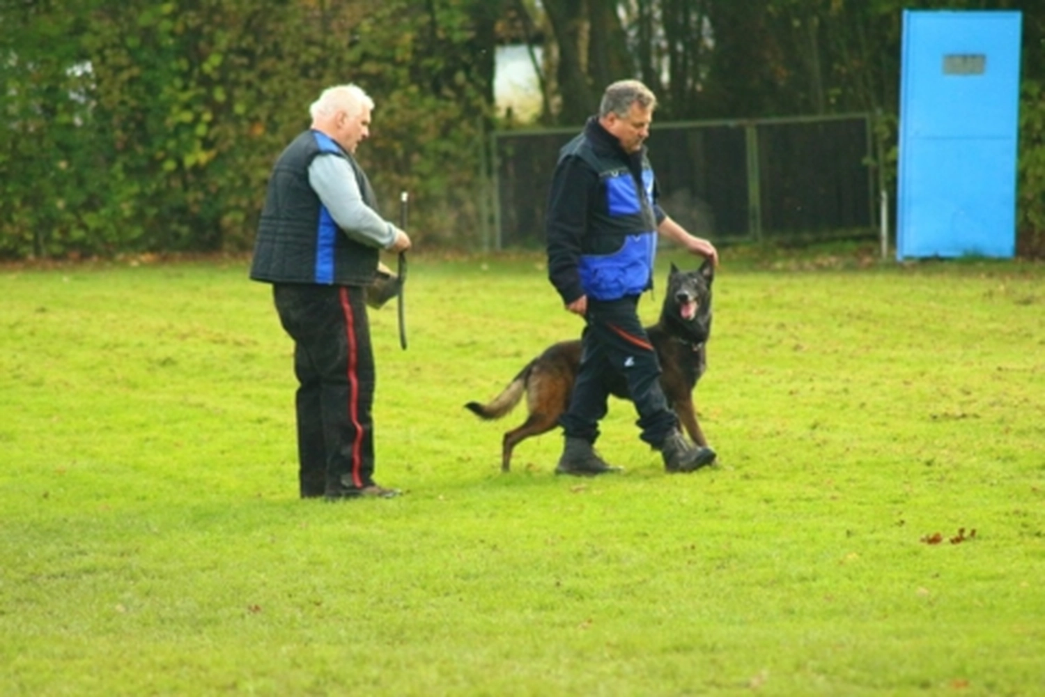 HSV Mühldorf - Hundesportverein - Hund bei Herbstmeisterschaften