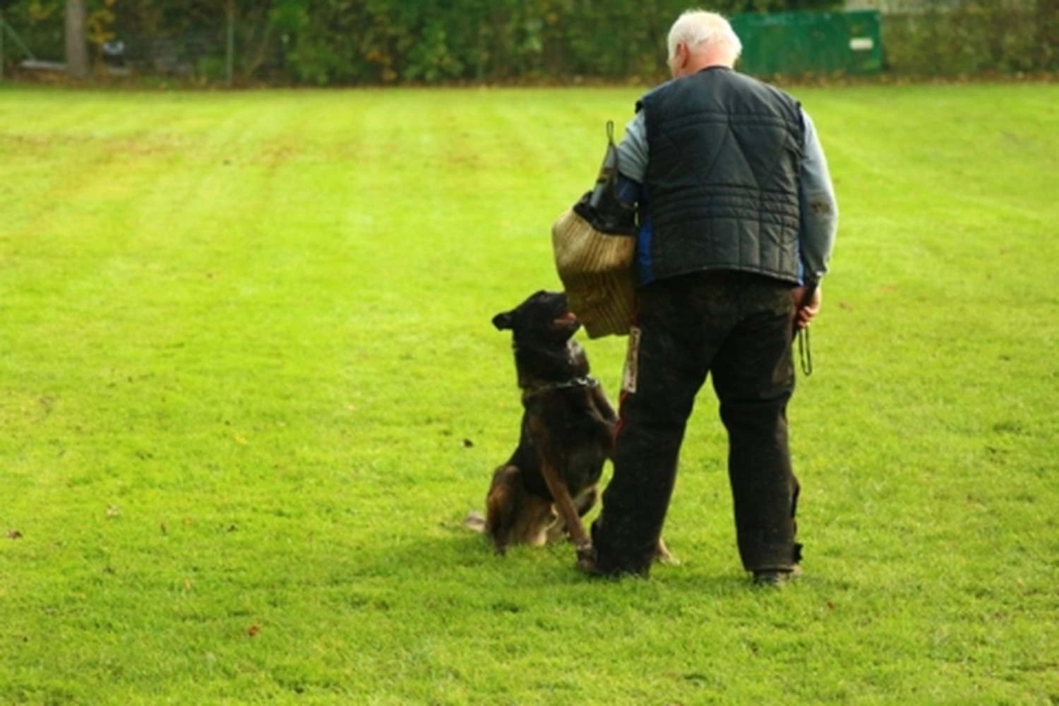 HSV Mühldorf - Hundesportverein - Hund bei Herbstmeisterschaften