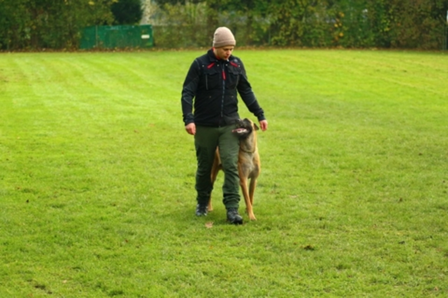 HSV Mühldorf - Hundesportverein - Hund bei Herbstmeisterschaften