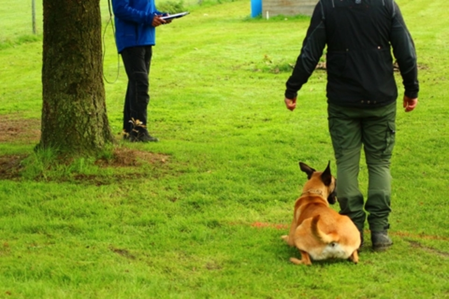 HSV Mühldorf - Hundesportverein - Hund bei Herbstmeisterschaften