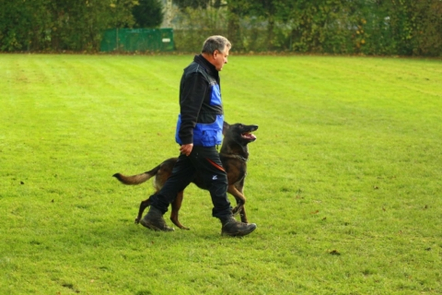 HSV Mühldorf - Hundesportverein - Hund bei Herbstmeisterschaften