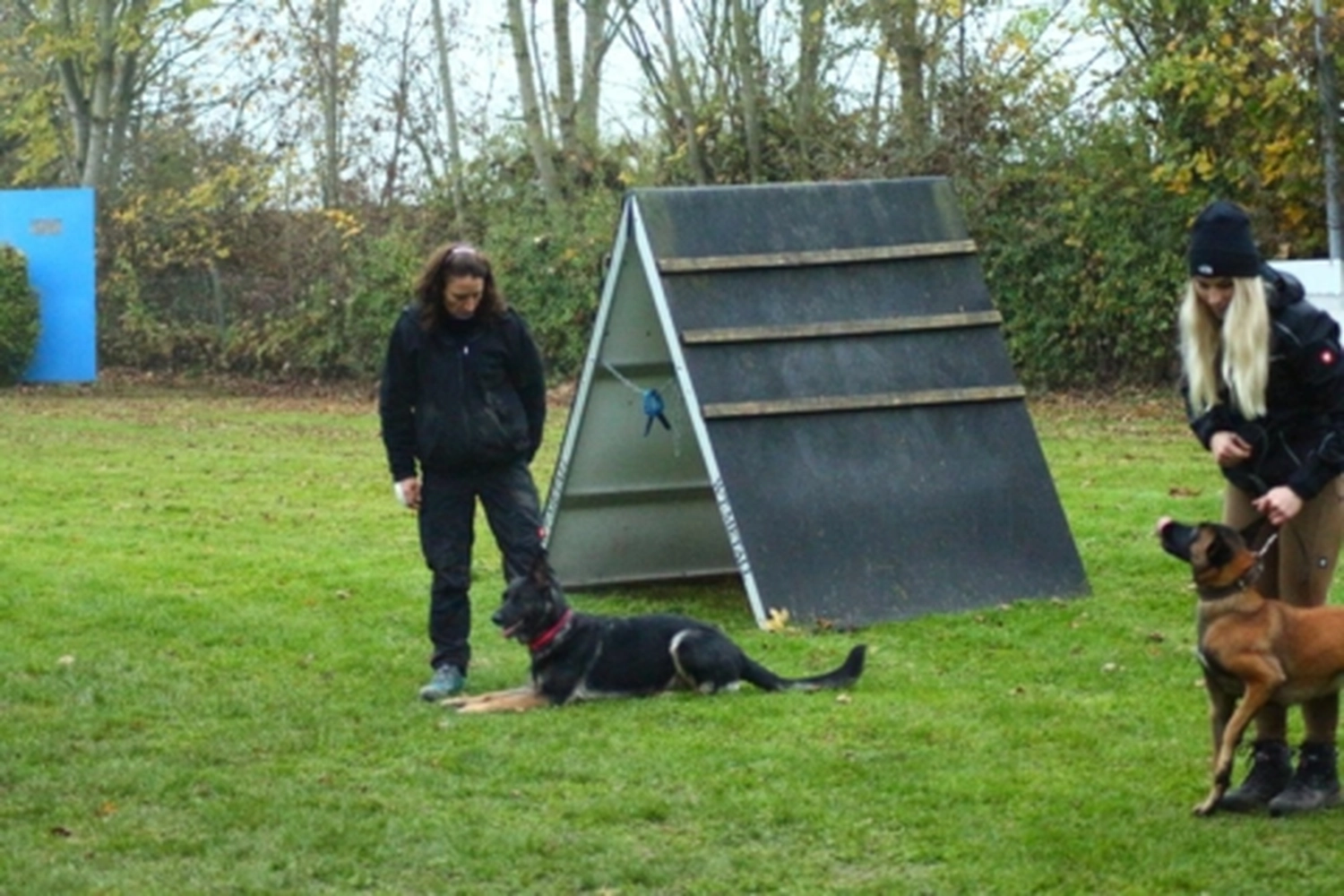 HSV Mühldorf - Hundesportverein - Hund bei Herbstmeisterschaften