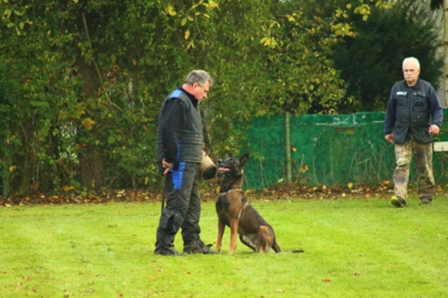 HSV Mühldorf - Hundesportverein - Hund bei Herbstmeisterschaften