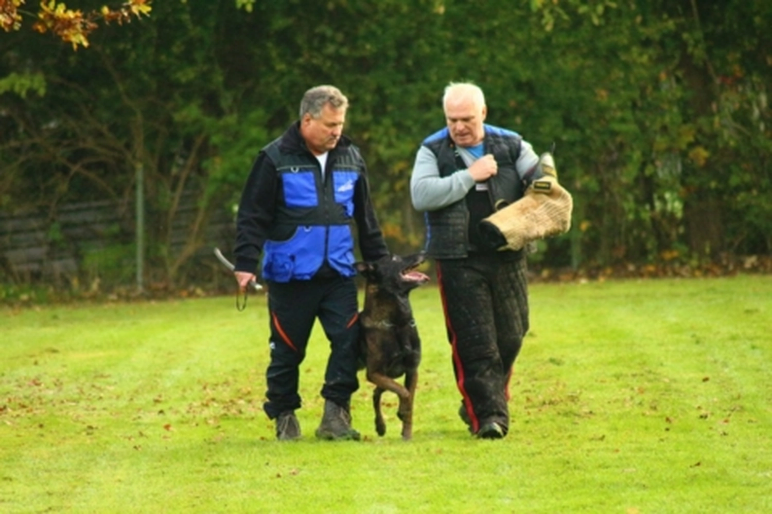 HSV Mühldorf - Hundesportverein - Hund bei Herbstmeisterschaften