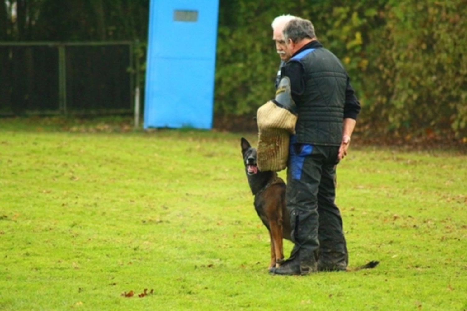 HSV Mühldorf - Hundesportverein - Hund bei Herbstmeisterschaften