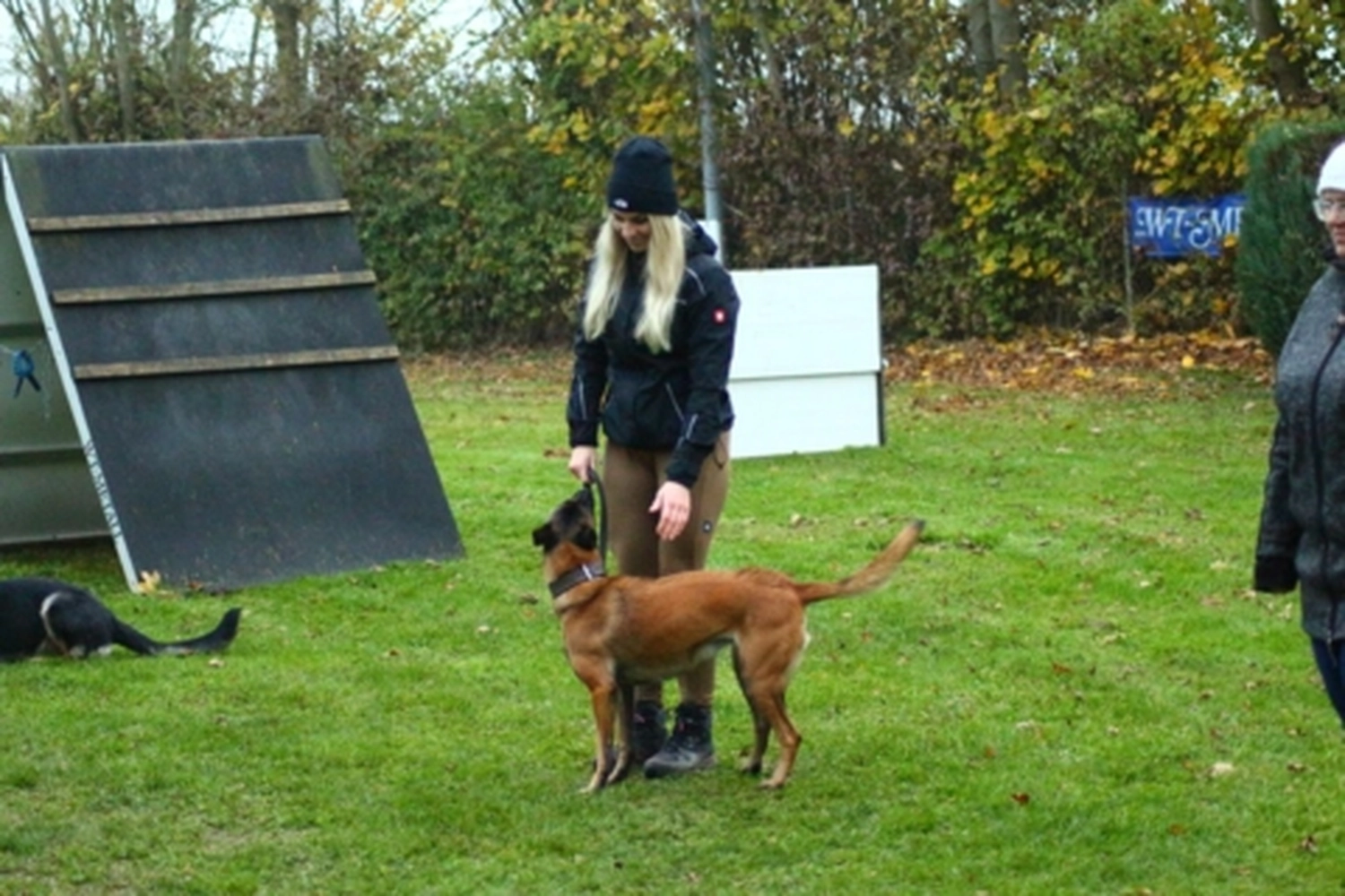 HSV Mühldorf - Hundesportverein - Hund bei Herbstmeisterschaften