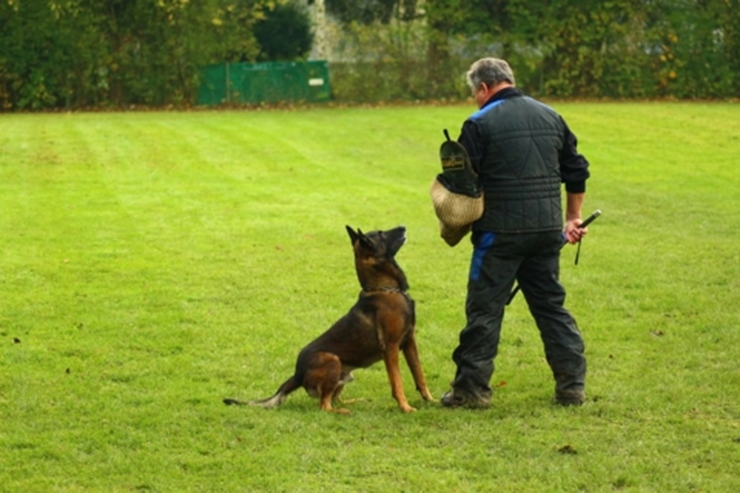 HSV Mühldorf - Hundesportverein - Hund bei Herbstmeisterschaften