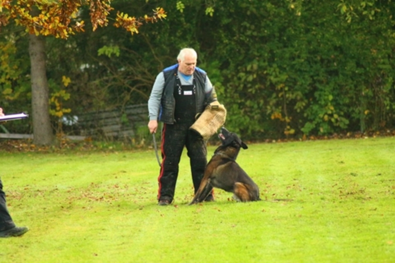 HSV Mühldorf - Hundesportverein - Hund bei Herbstmeisterschaften