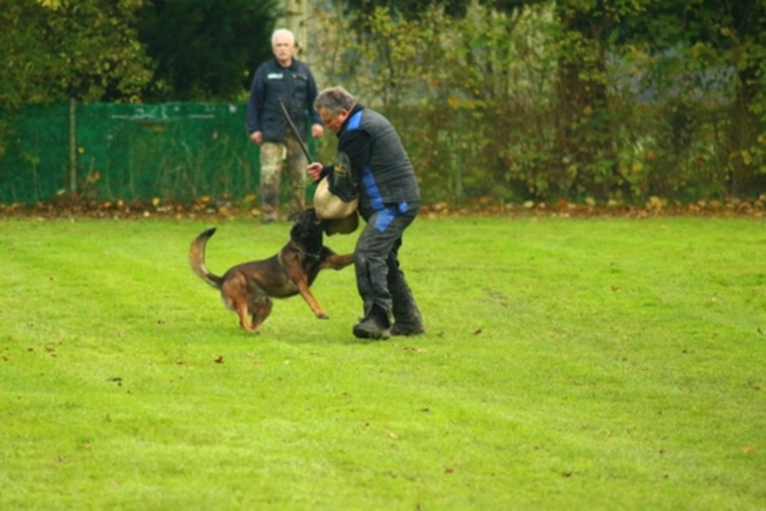 HSV Mühldorf - Hundesportverein - Hund bei Herbstmeisterschaften