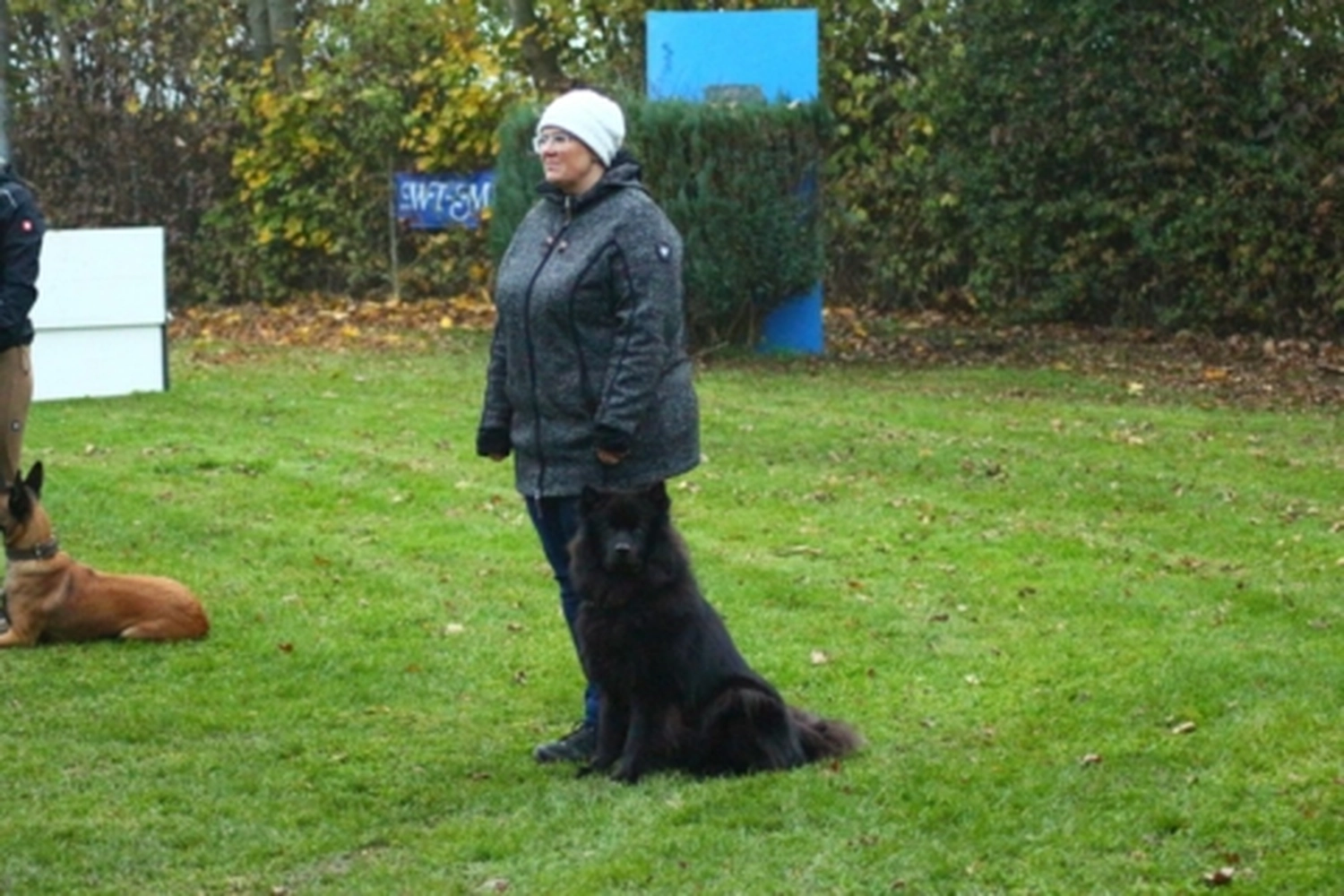 HSV Mühldorf - Hundesportverein - Hund bei Herbstmeisterschaften