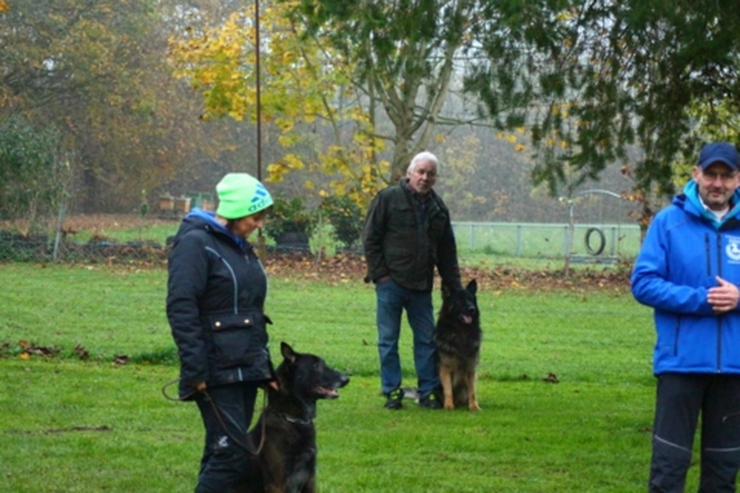 HSV Mühldorf - Hundesportverein - Hund bei Herbstmeisterschaften