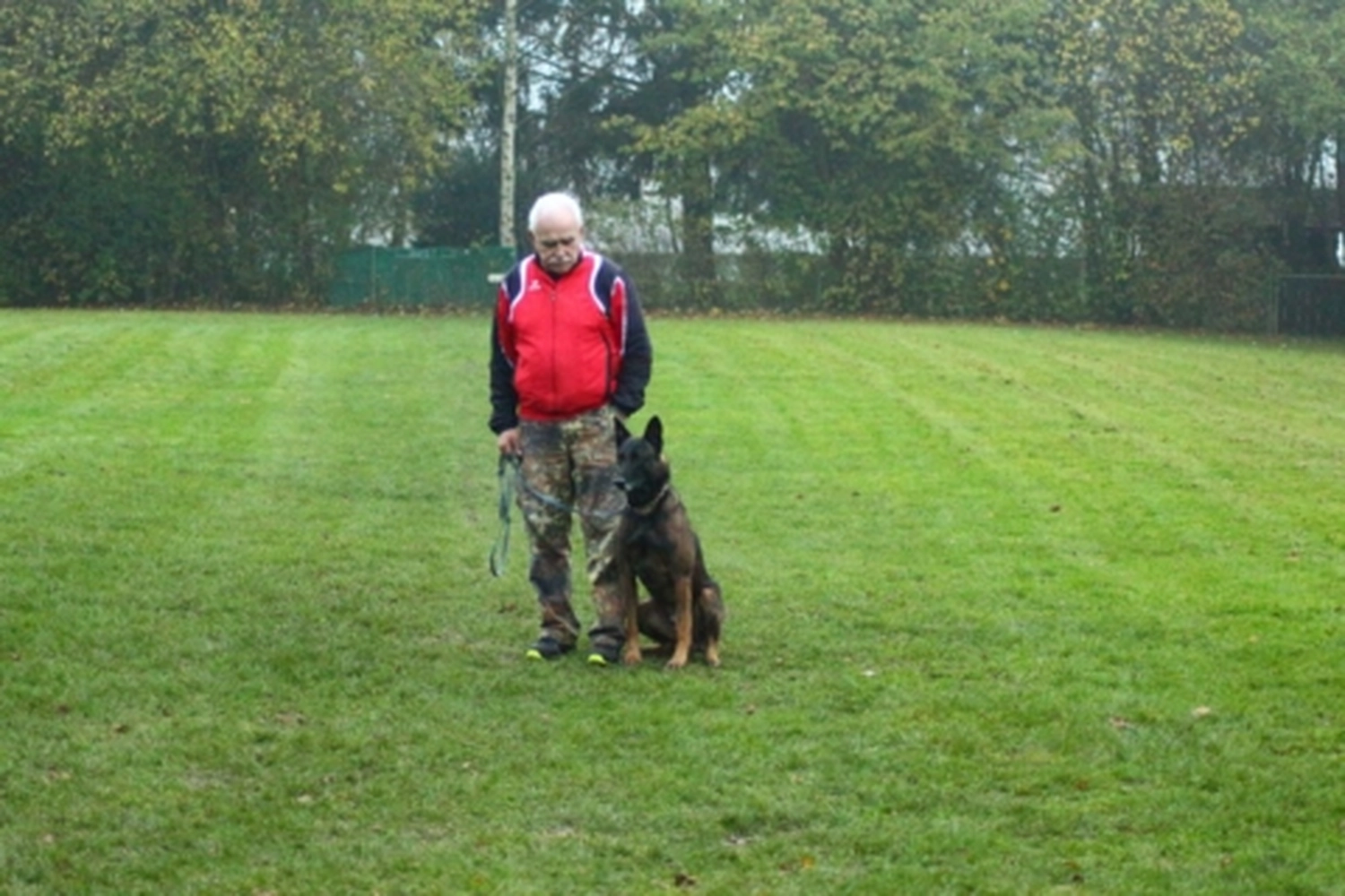 HSV Mühldorf - Hundesportverein - Hund bei Herbstmeisterschaften