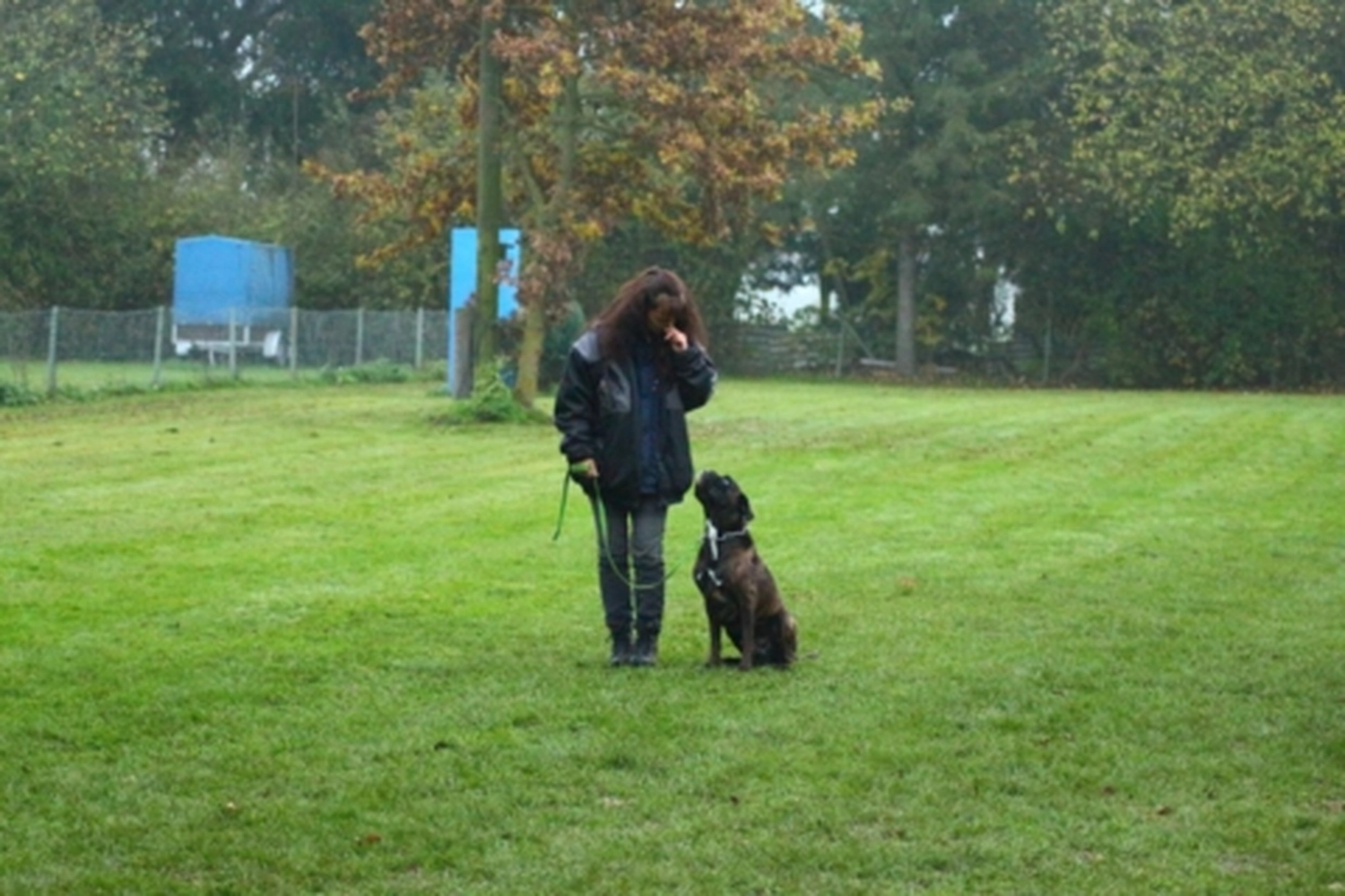 HSV Mühldorf - Hundesportverein - Hund bei Herbstmeisterschaften
