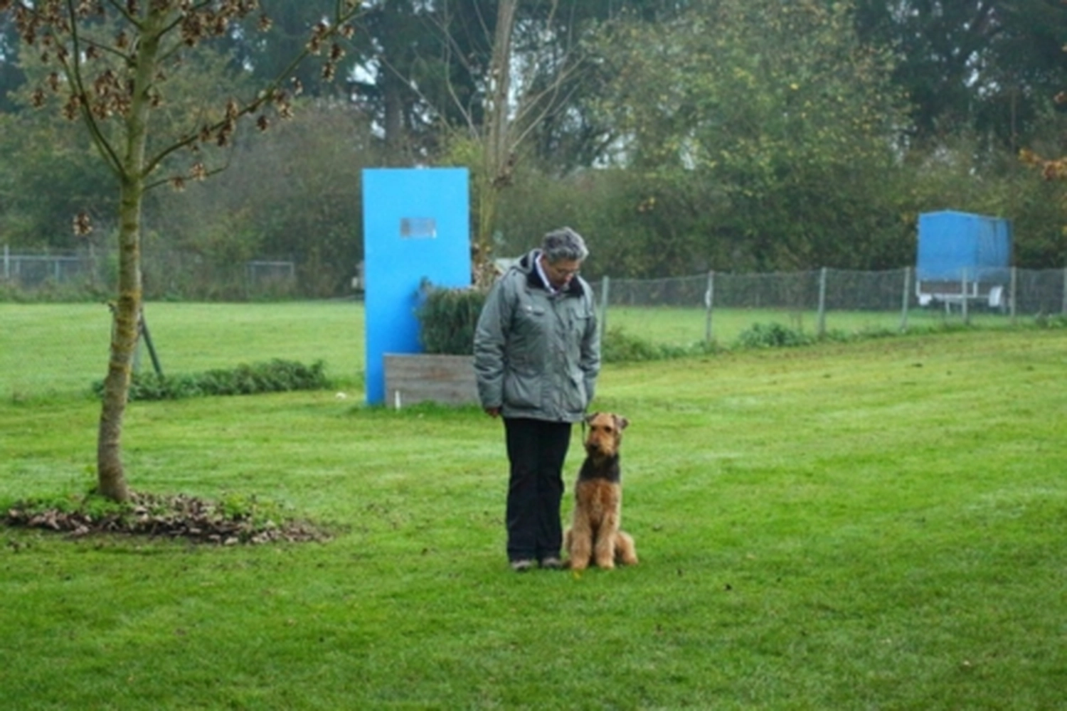 HSV Mühldorf - Hundesportverein - Hund bei Herbstmeisterschaften