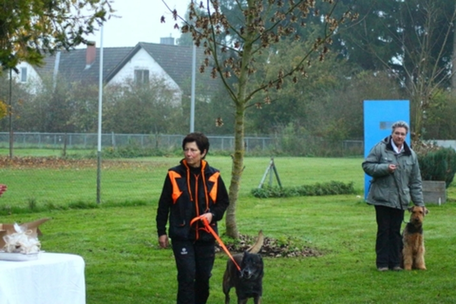 HSV Mühldorf - Hundesportverein - Hund bei Herbstmeisterschaften