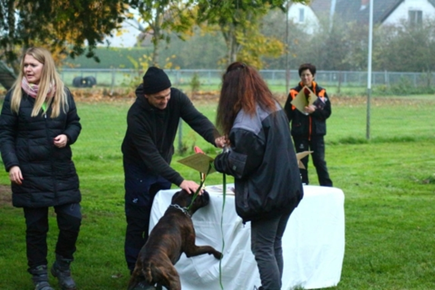HSV Mühldorf - Hundesportverein - Hund bei Herbstmeisterschaften