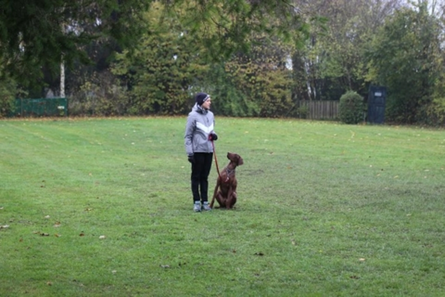 HSV Mühldorf - Hundesportverein - Herbstprüfung 2019