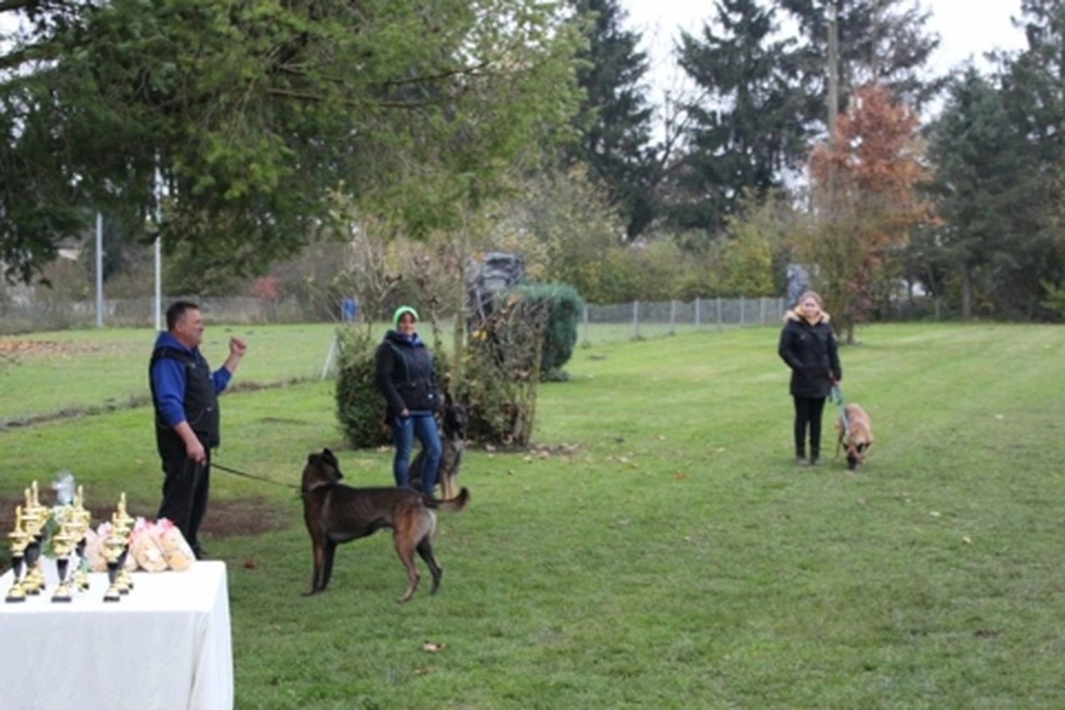 HSV Mühldorf - Hundesportverein - Herbstprüfung 2019