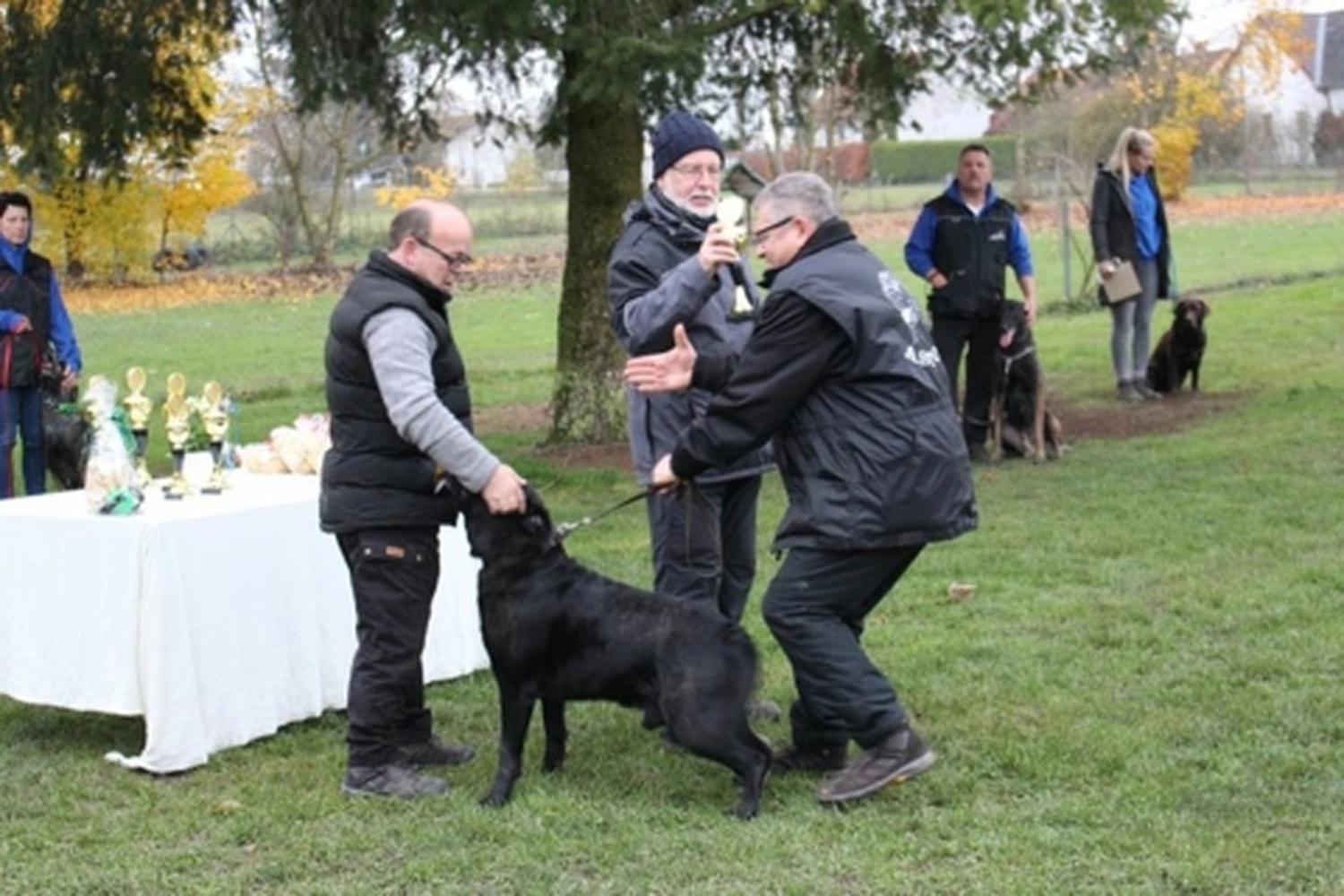 HSV Mühldorf - Hundesportverein - Herbstprüfung 2019