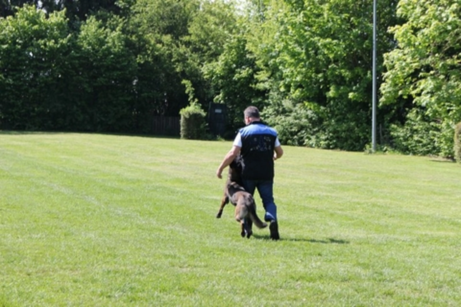 HSV Mühldorf - Hundesportverein - Frühjahrsprüfung 2018