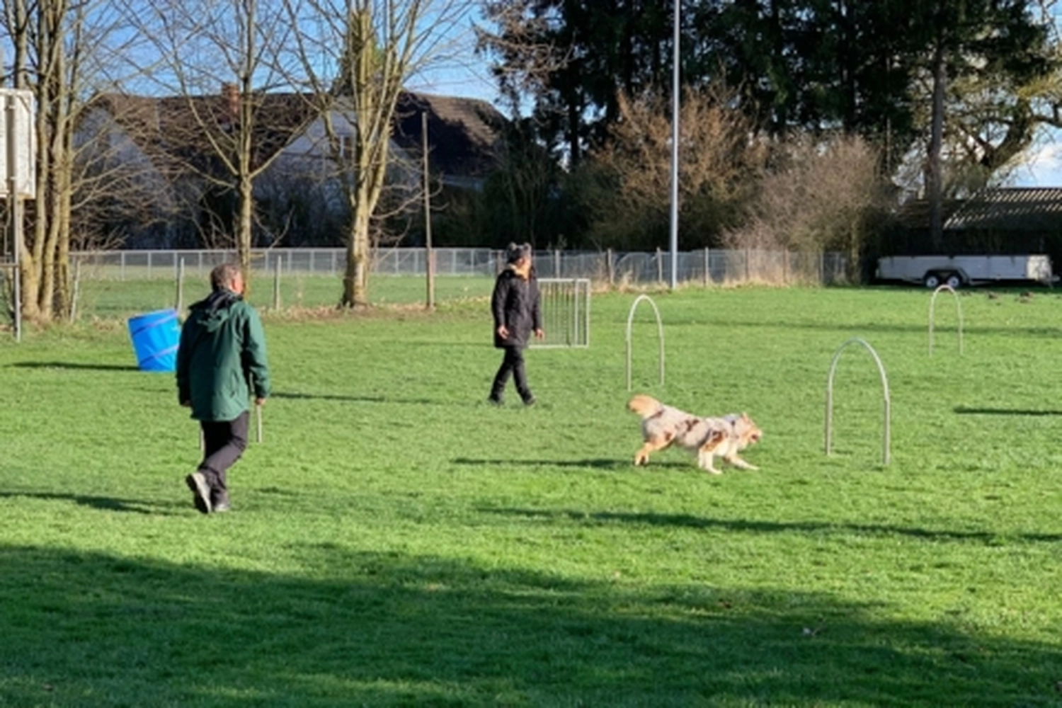 HSV Mühldorf - Hundesportverein - Hoopers Seminar 2023