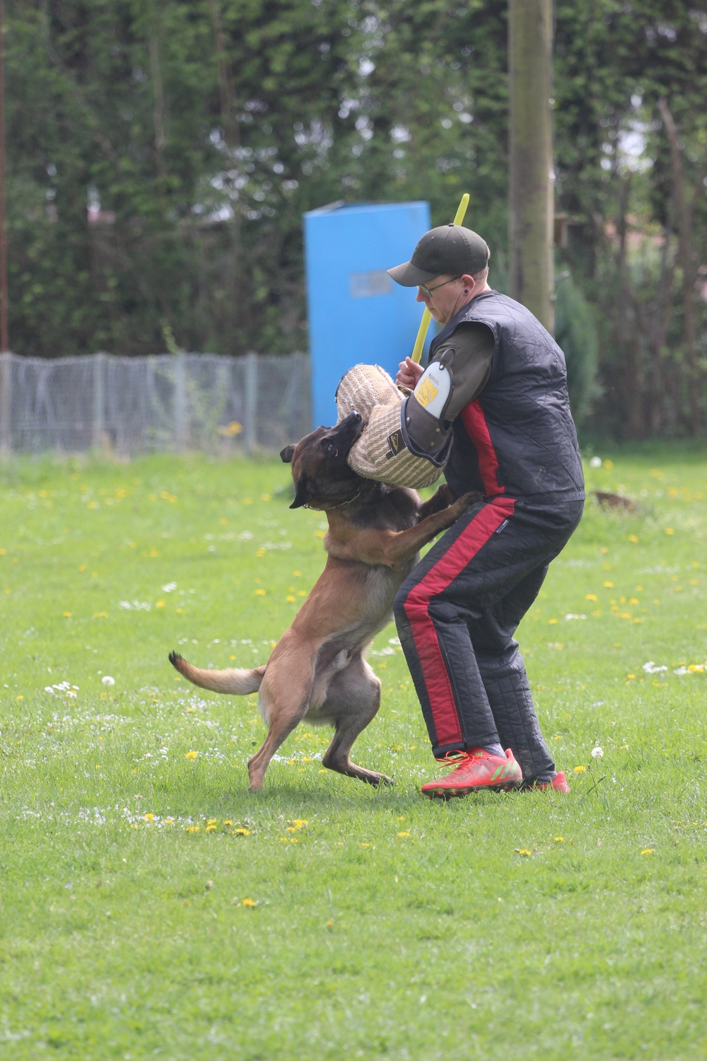 HSV Mühldorf – Hundesportverein – Hundespiel im Park