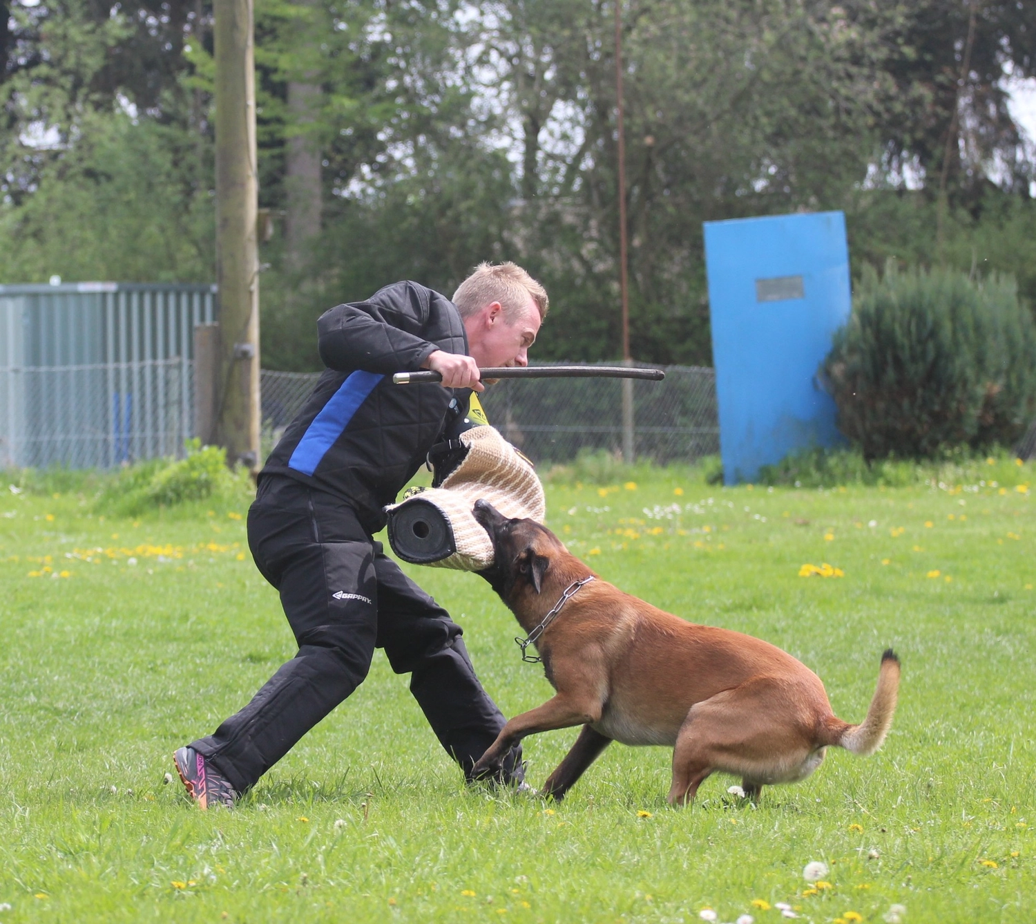 HSV Mühldorf – Hundesportverein – Menschen im Garten mit Hunden