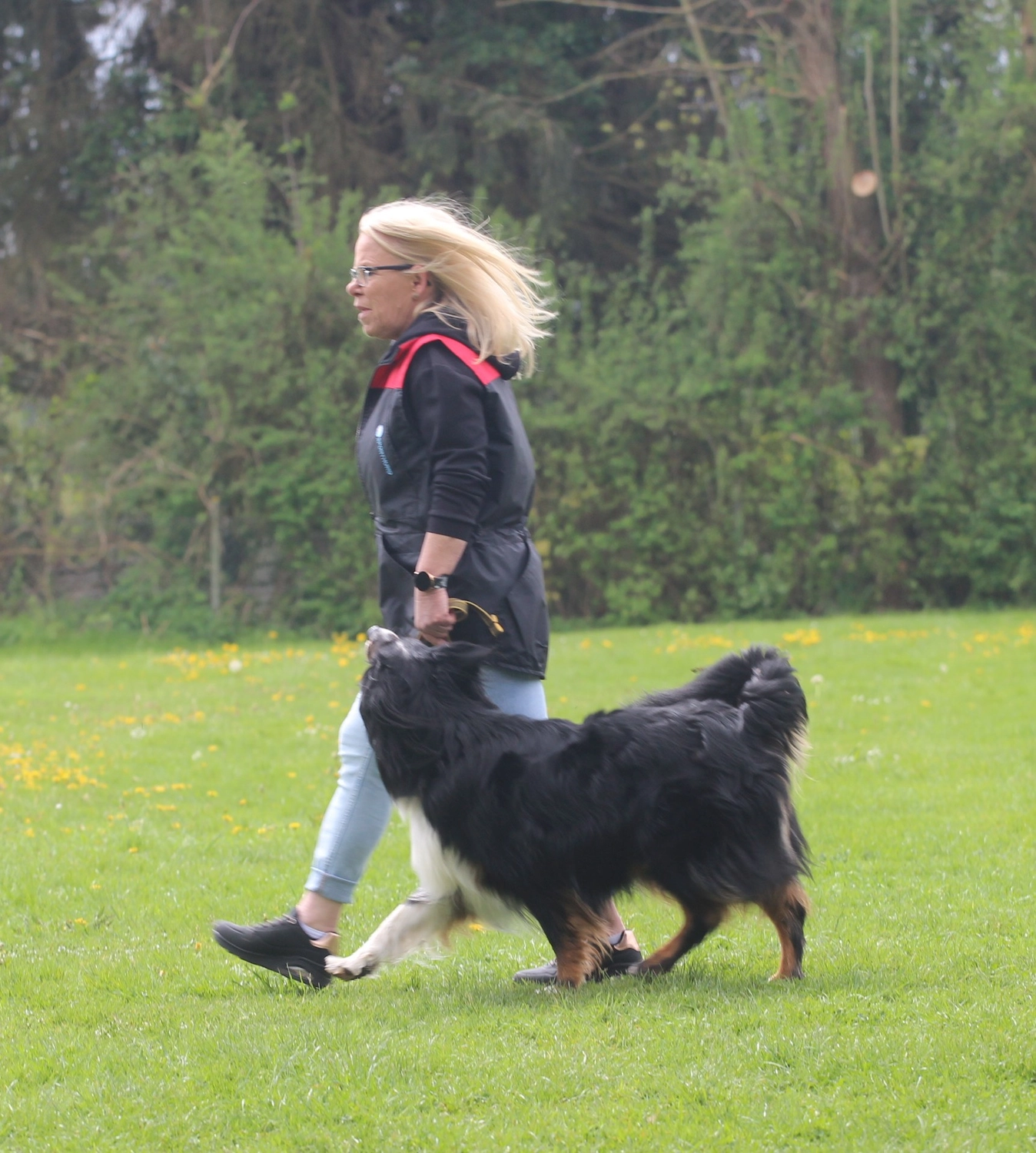 HSV Mühldorf - Hundesportverein - Hund im Park